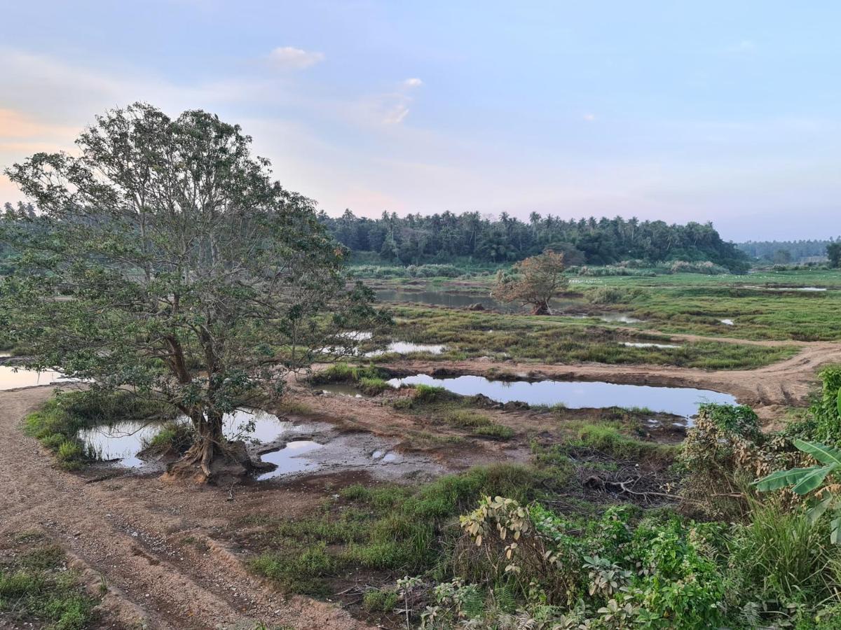 Ceylon Lodge - Airport Transit Hostel เนกอมโบ ภายนอก รูปภาพ