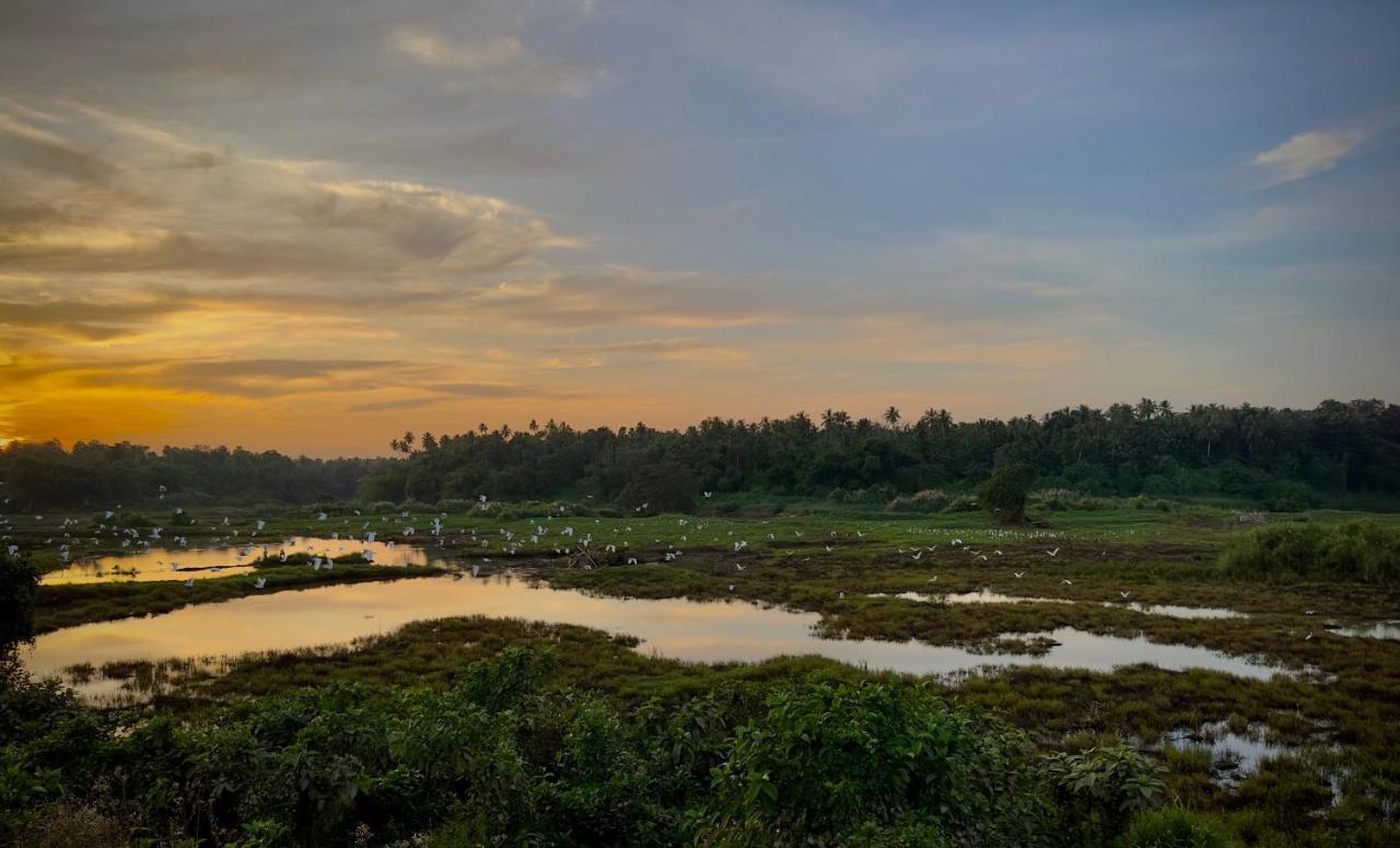 Ceylon Lodge - Airport Transit Hostel เนกอมโบ ภายนอก รูปภาพ